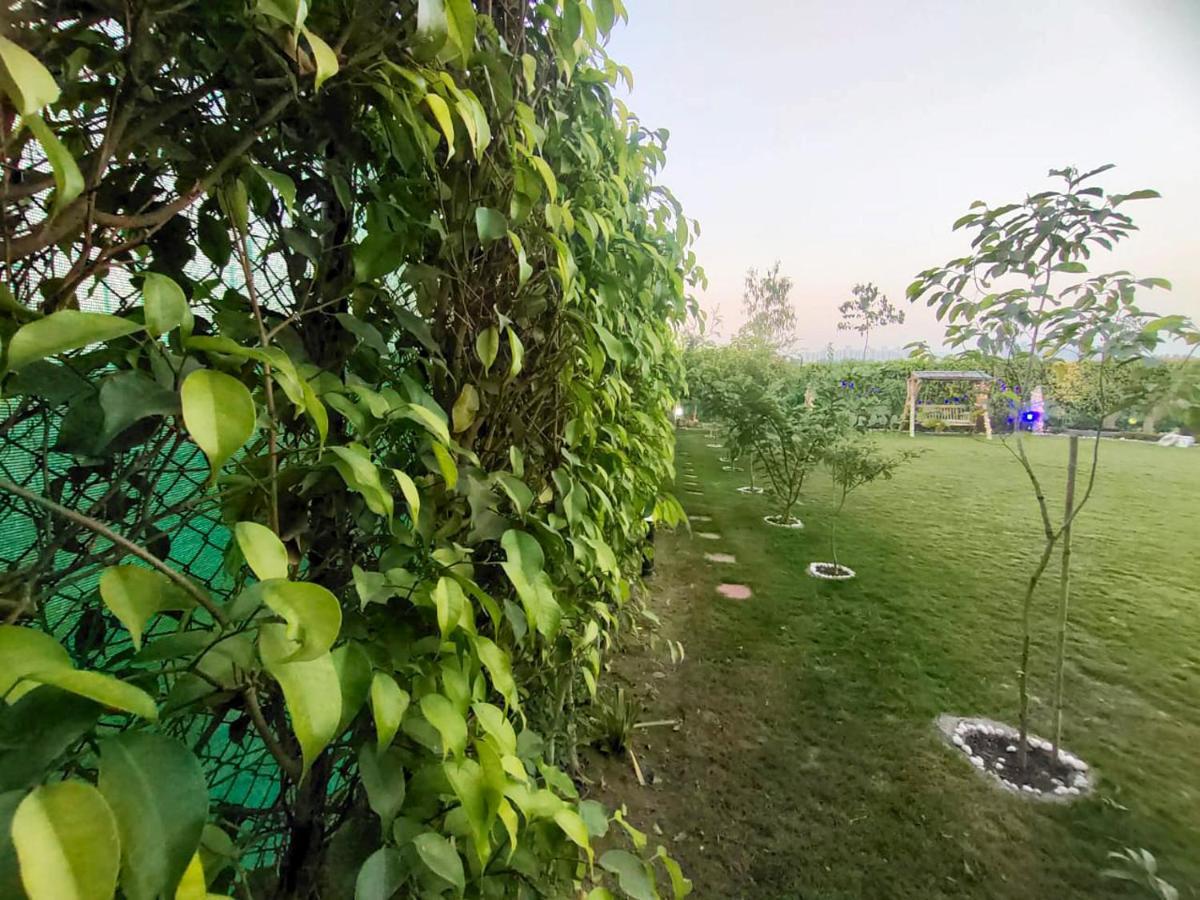 Shaw Estate-Farm House For A Small Parties-Jp Farm Большая Нойда Экстерьер фото